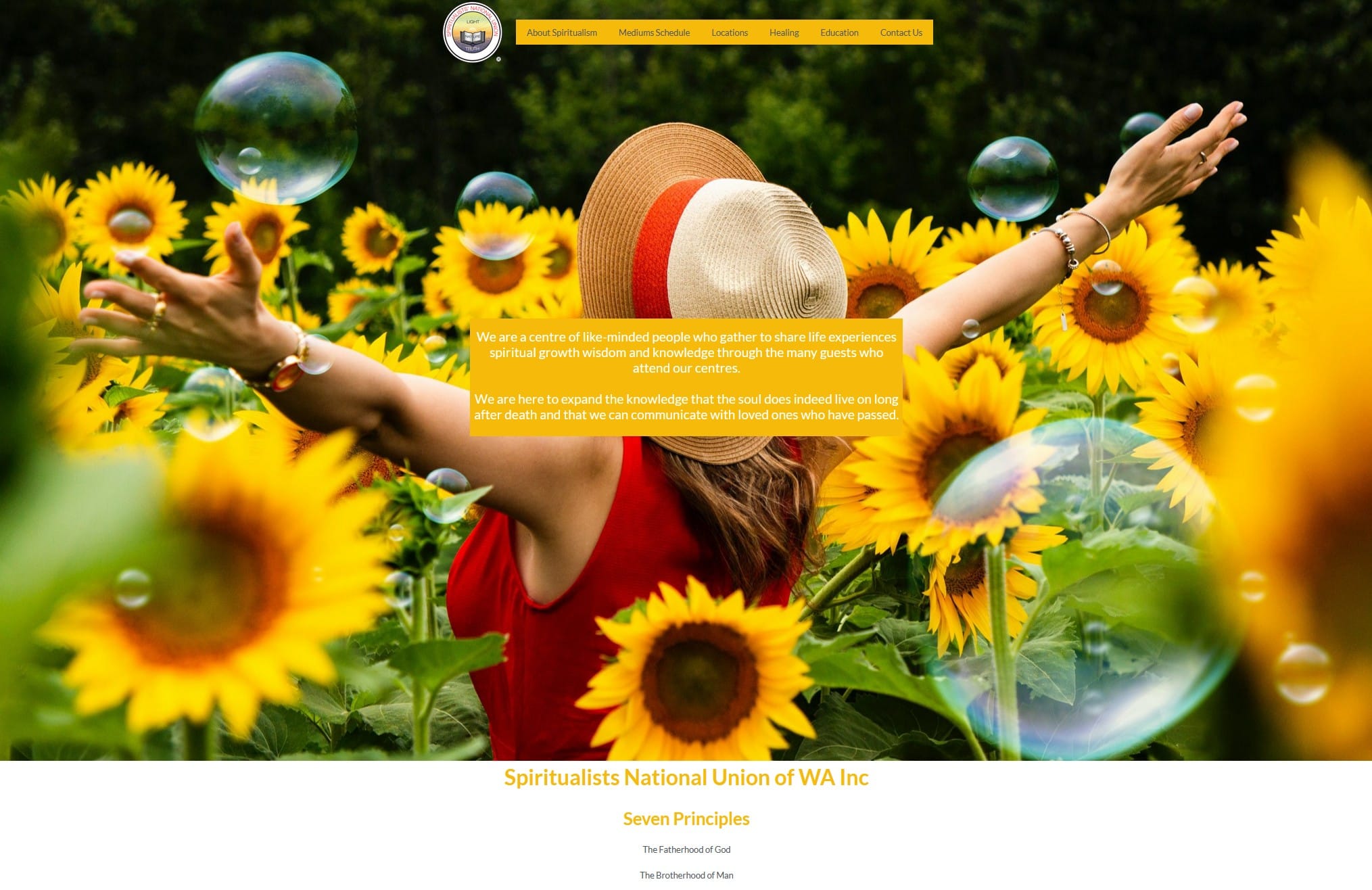 Screenshot of the SNU WA Website in 2025